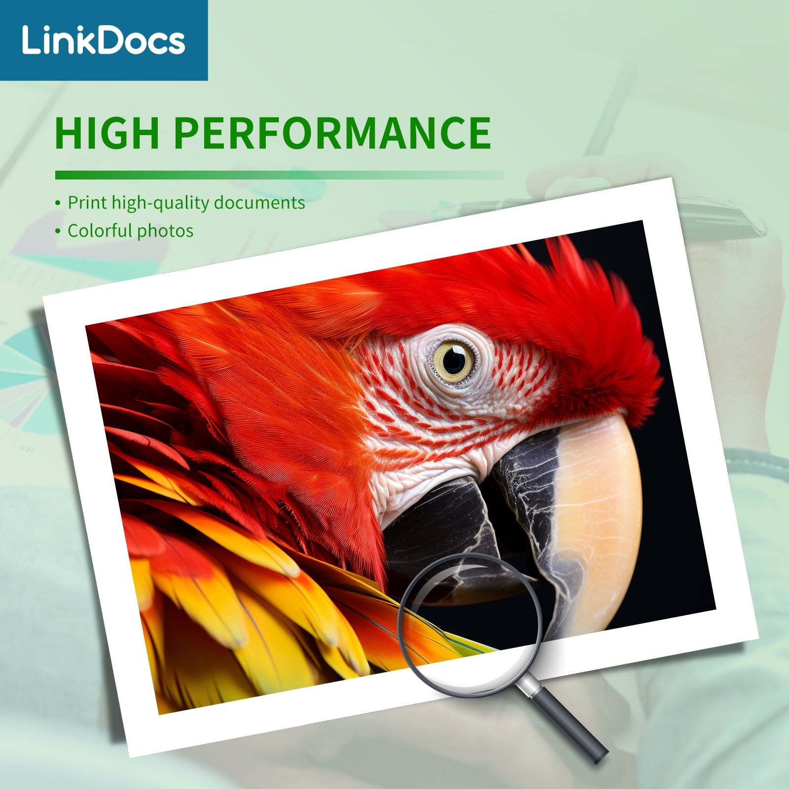 67 Ink Cartridge Compatible for HP 67 67XL Black for HP Ink 67 for HP 67 Black Ink Cartridge for HP DeskJet 2700 2700e 2752 2752e 2755 2755e Envy 6000 6055 6055e Envy Pro 6455 6458 Printer (2 Black)